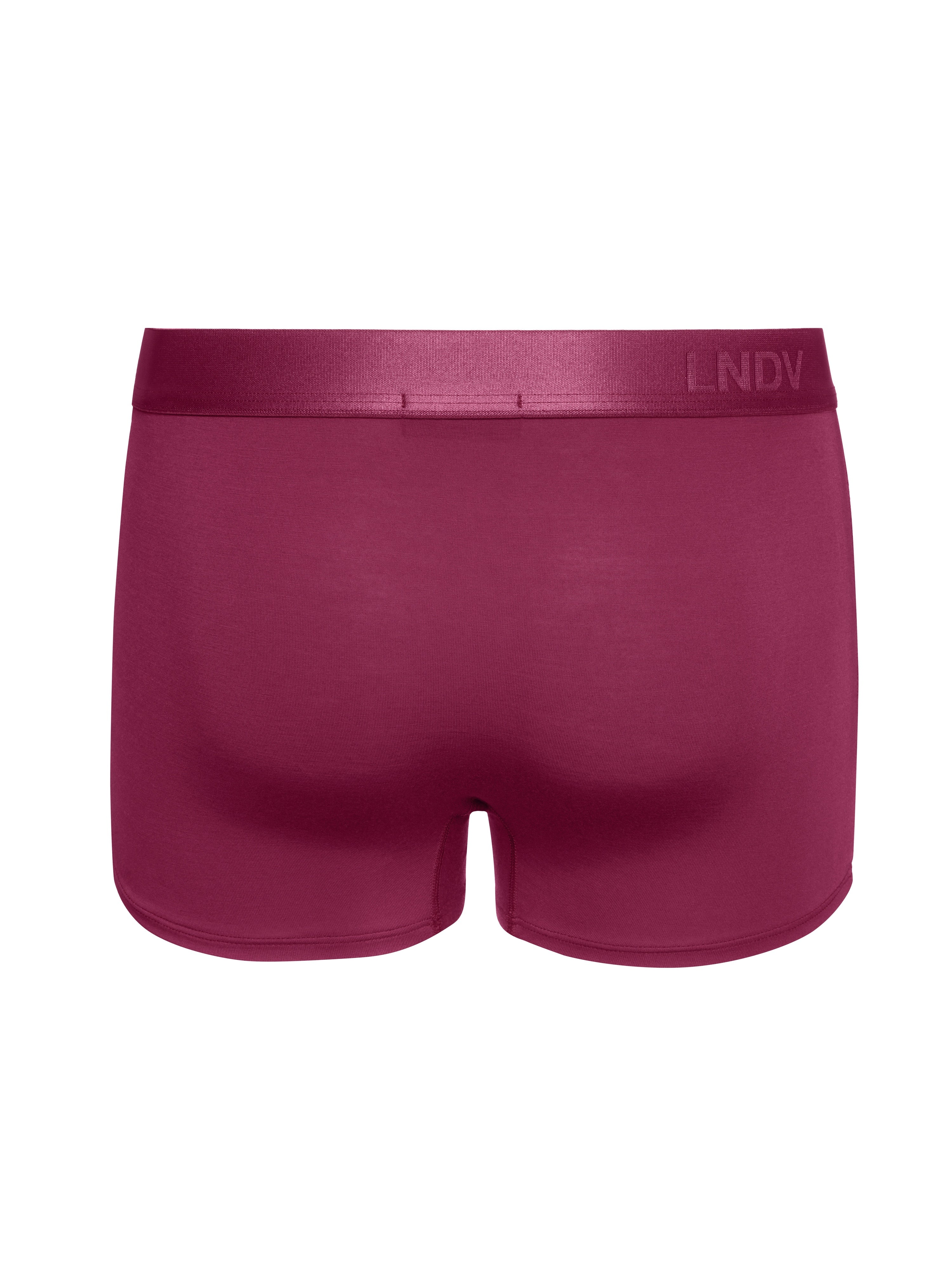 Men's Bamboo Boxer Briefs Handcrafted in Italy — Burgundy